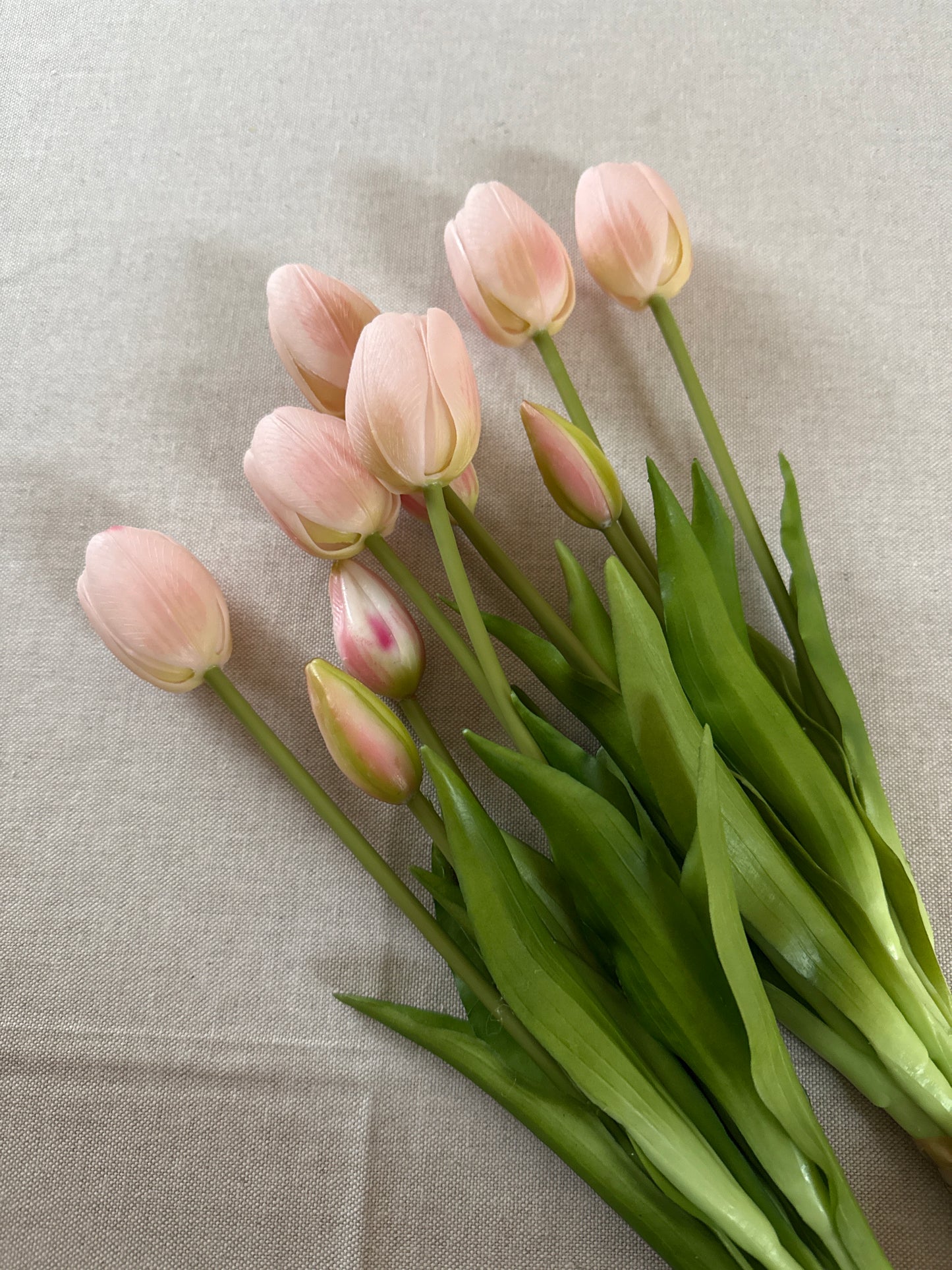 Mazzo di TULIPANI ROSA 🌷