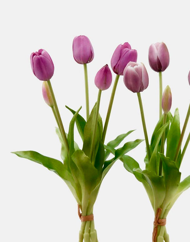 Mazzo di TULIPANI PURPLE 🌷