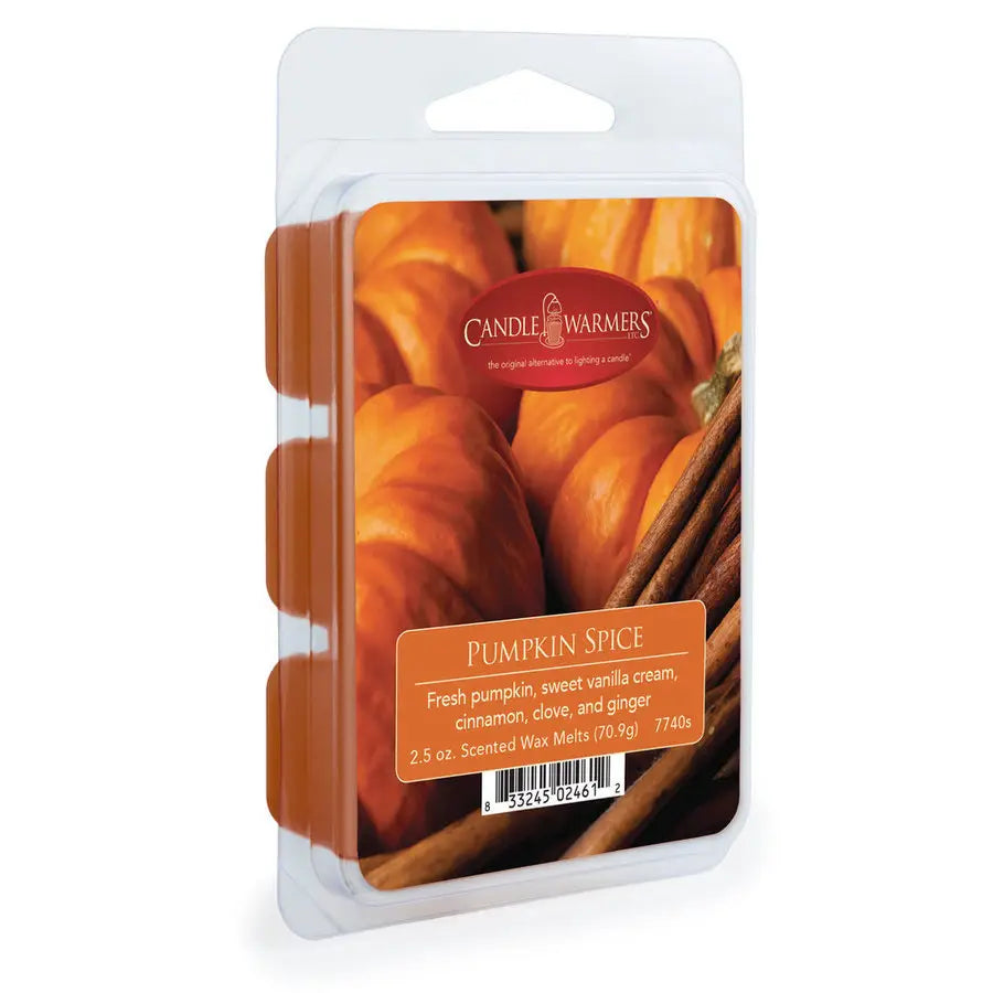 Cera di soia profumata PUMPKIN SPICE 70g