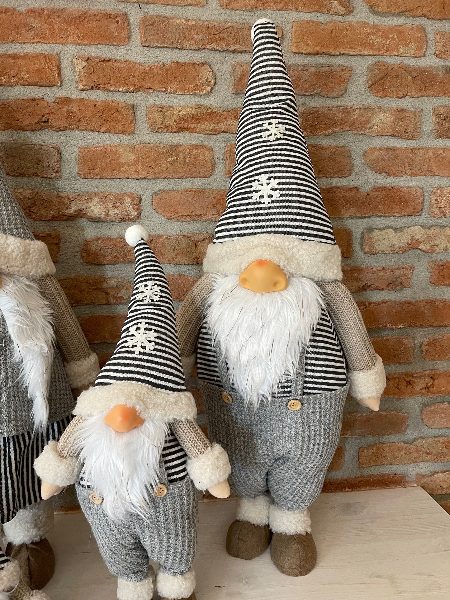 Famiglia di GNOMI STRIPES