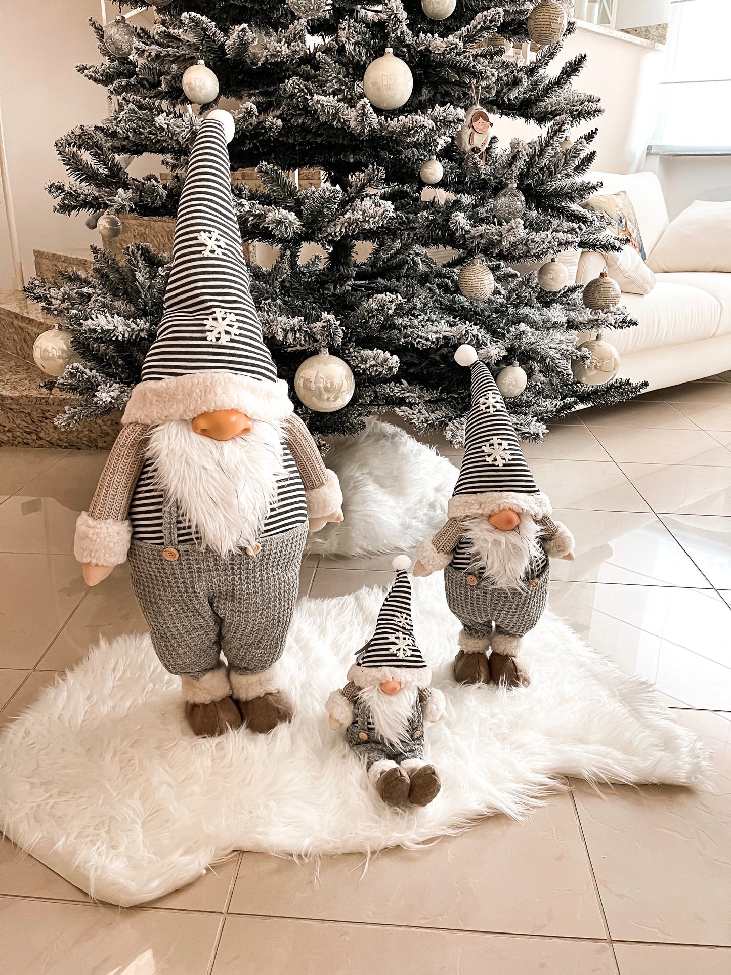 Famiglia di GNOMI STRIPES