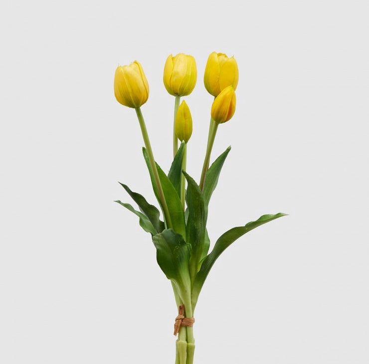 Mazzo di TULIPANI GIALLI