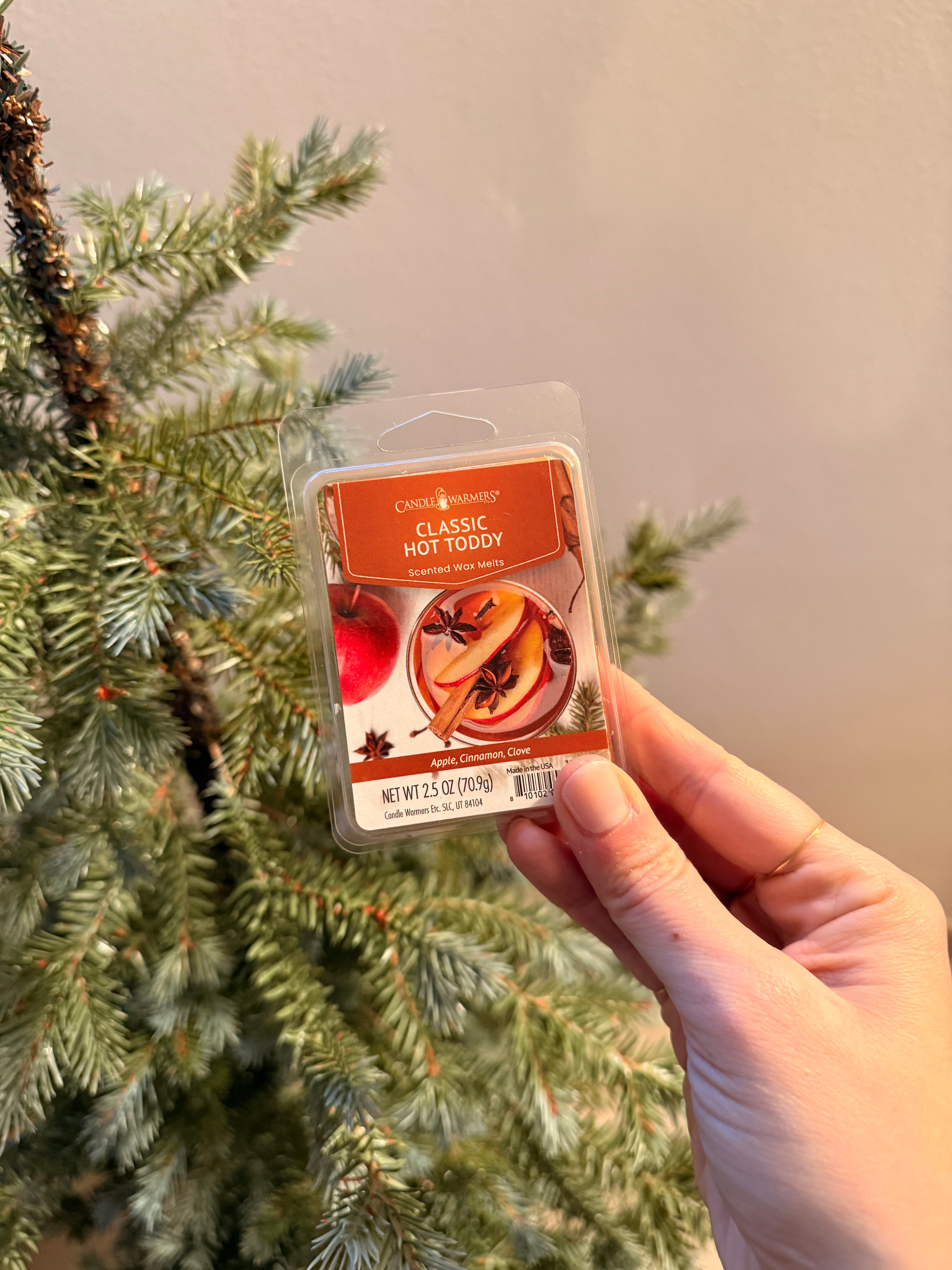 Cera di soia profumata INFUSO MELA E CANNELLA 70g