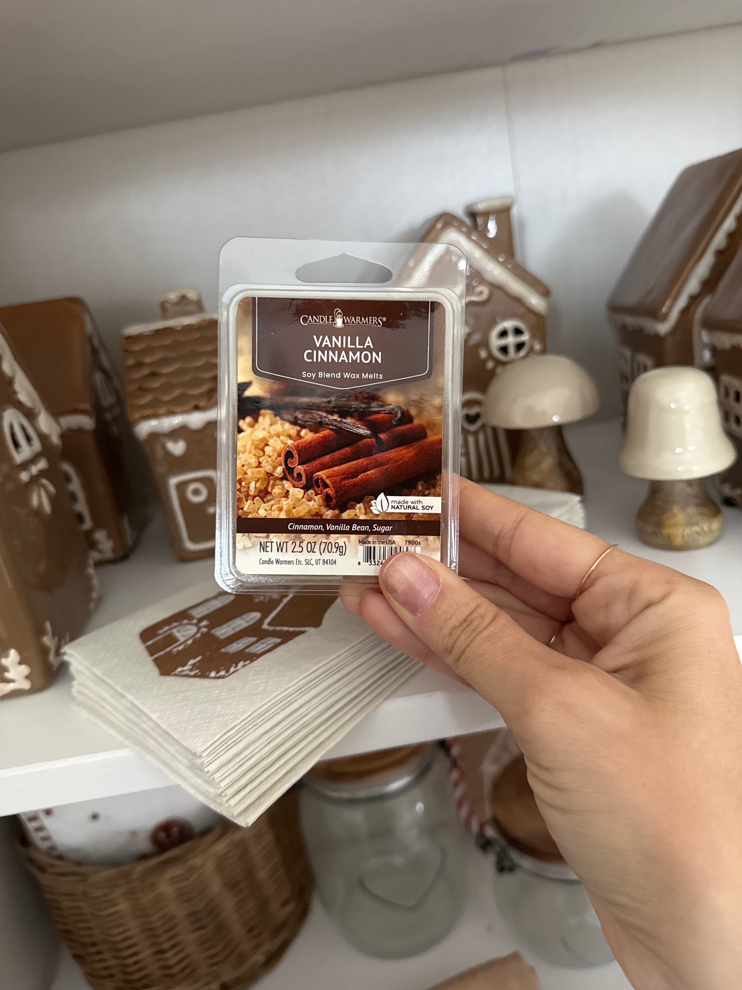 Cera di soia profumata VANIGLIA & CANNELLA 70g