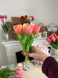 Mazzo Baby TULIPANI 🌷30 cm - 5 varianti colore