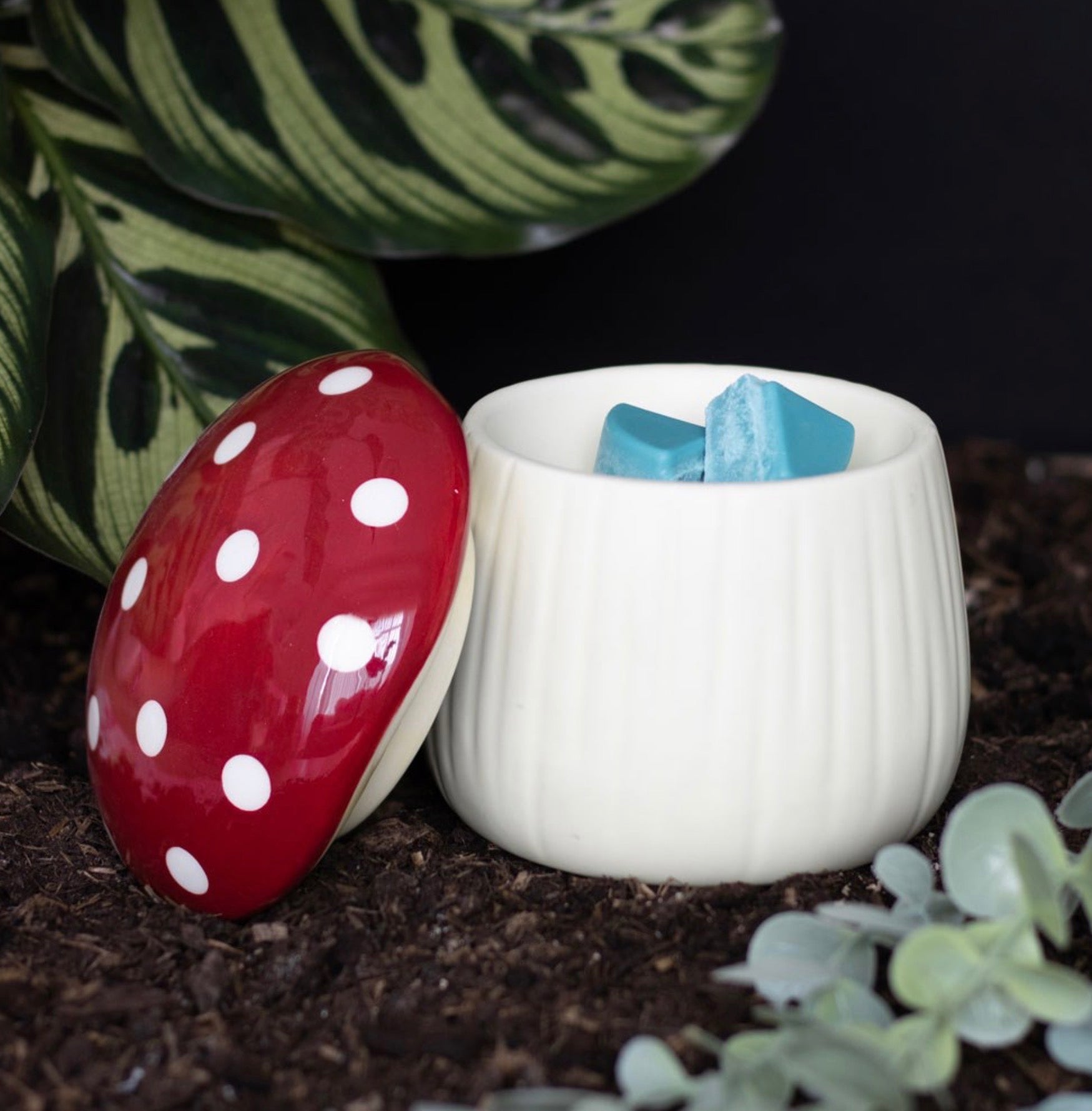 Bruciatore cera di soia FUNGO