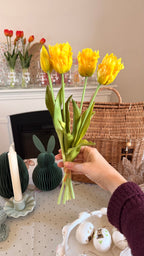Mazzo TULIPANI SFRANGIATI 40cm - 8 varianti colore