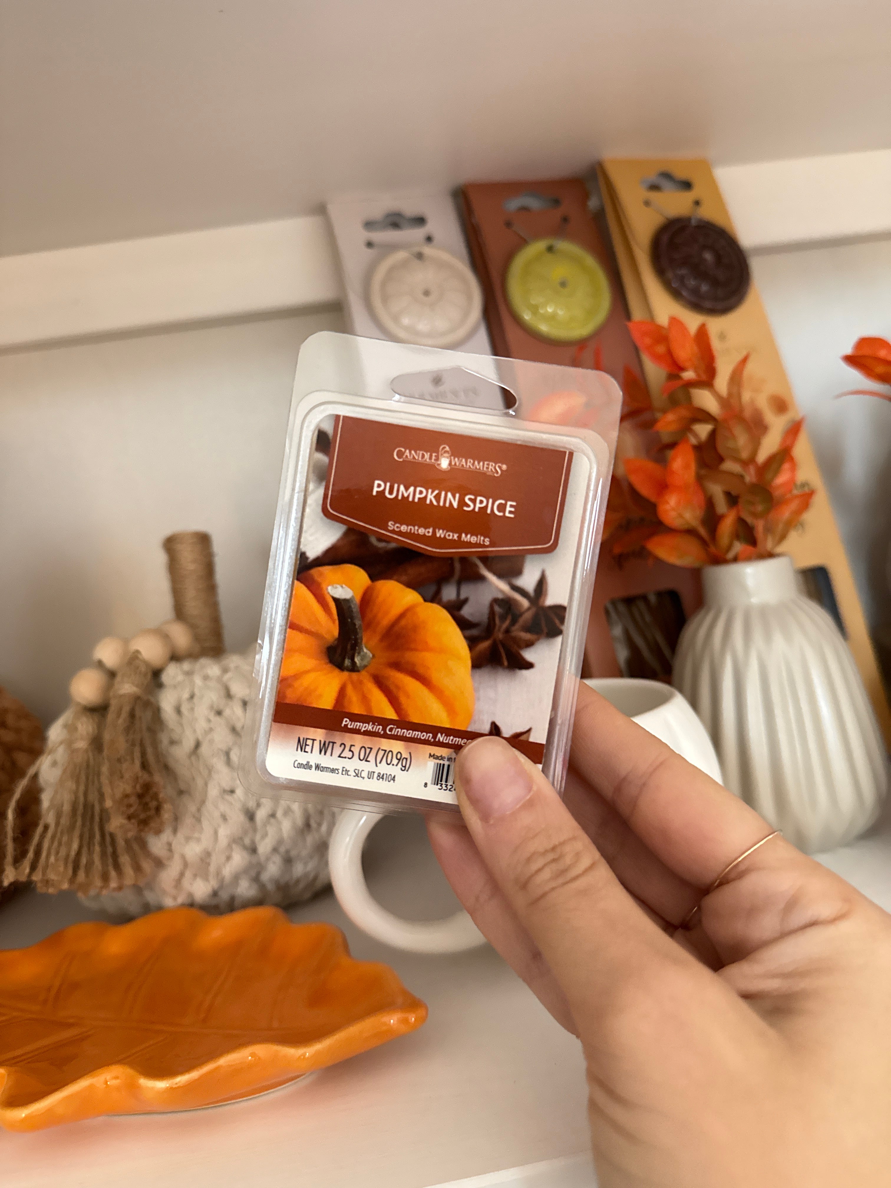 Cera profumata classica PUMPKIN SPICE 70g