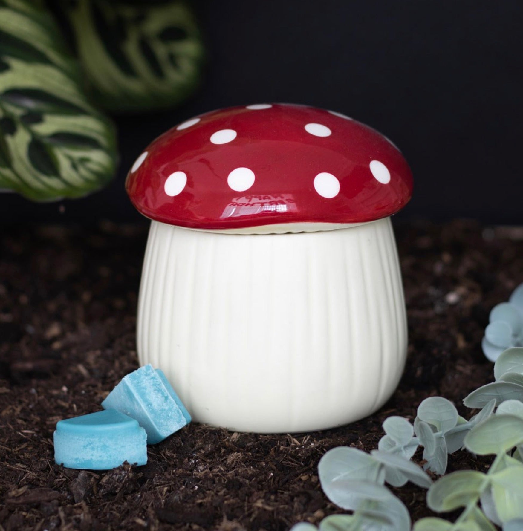 Bruciatore cera di soia FUNGO