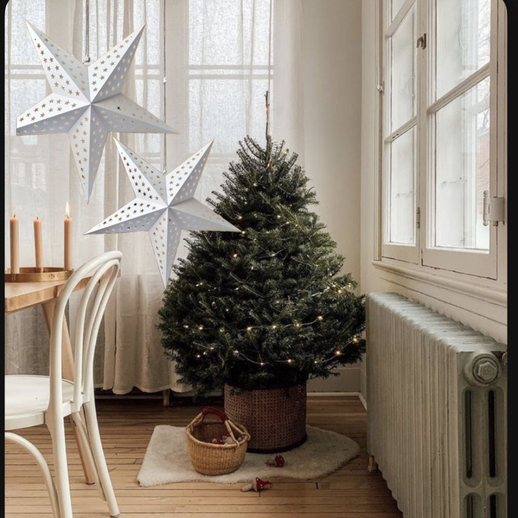 Stelle SPARKLE decorative da appendere