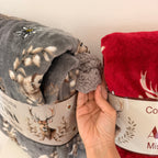 Coperta singola ALPINA con sherpa - 2 colori