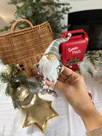 Gnomo MIKE in resina