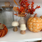 Coppia funghetti in legno