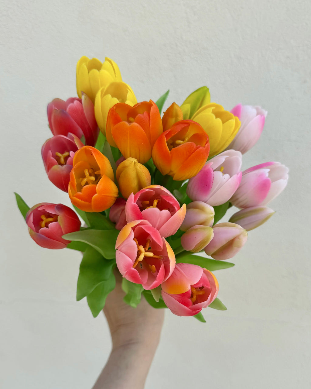 Mazzo Baby TULIPANI 🌷30 cm - 5 varianti colore