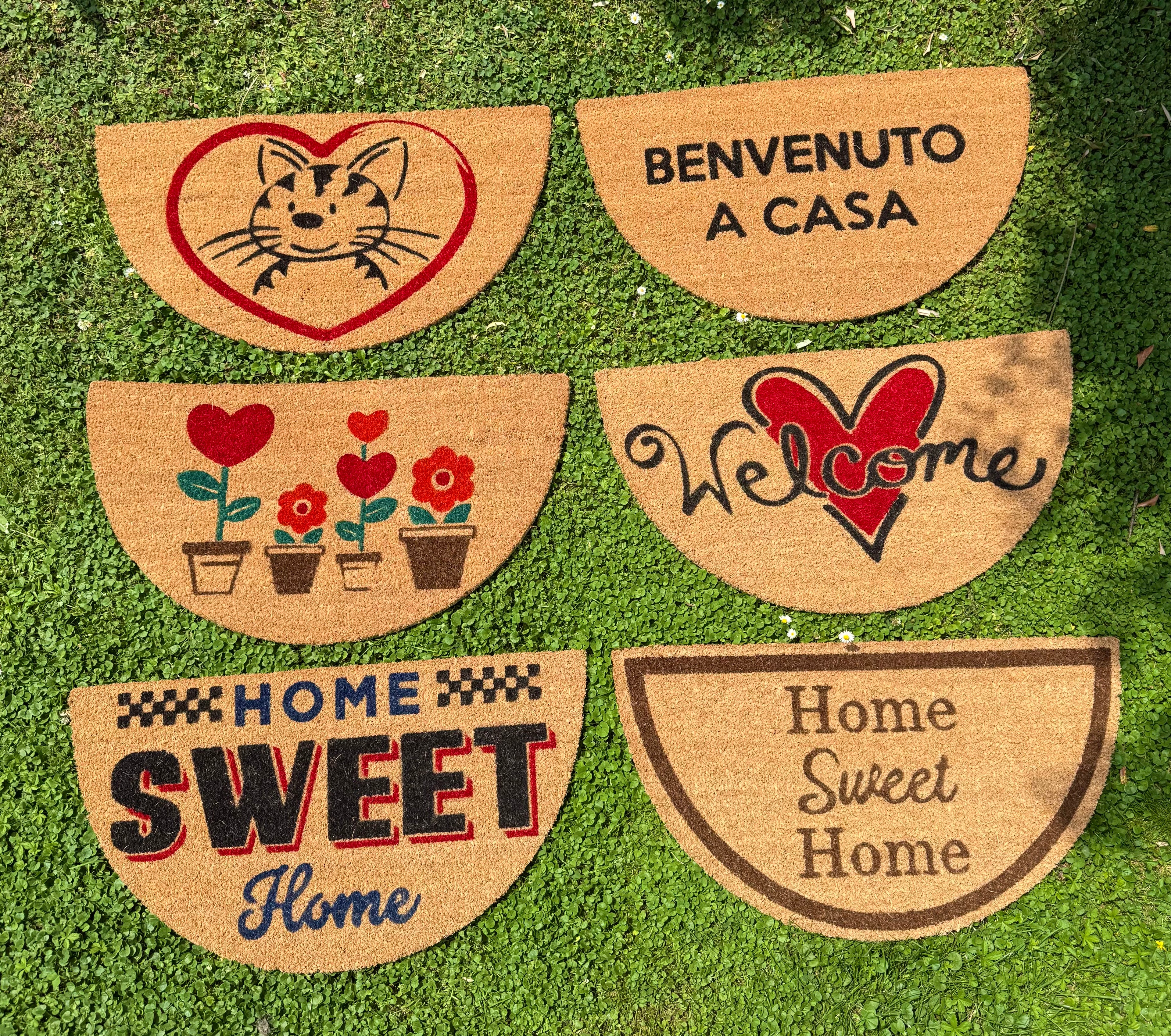 Zerbini FUN - 6 varianti