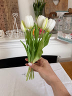 Mazzo Baby TULIPANI 🌷30 cm - 5 varianti colore